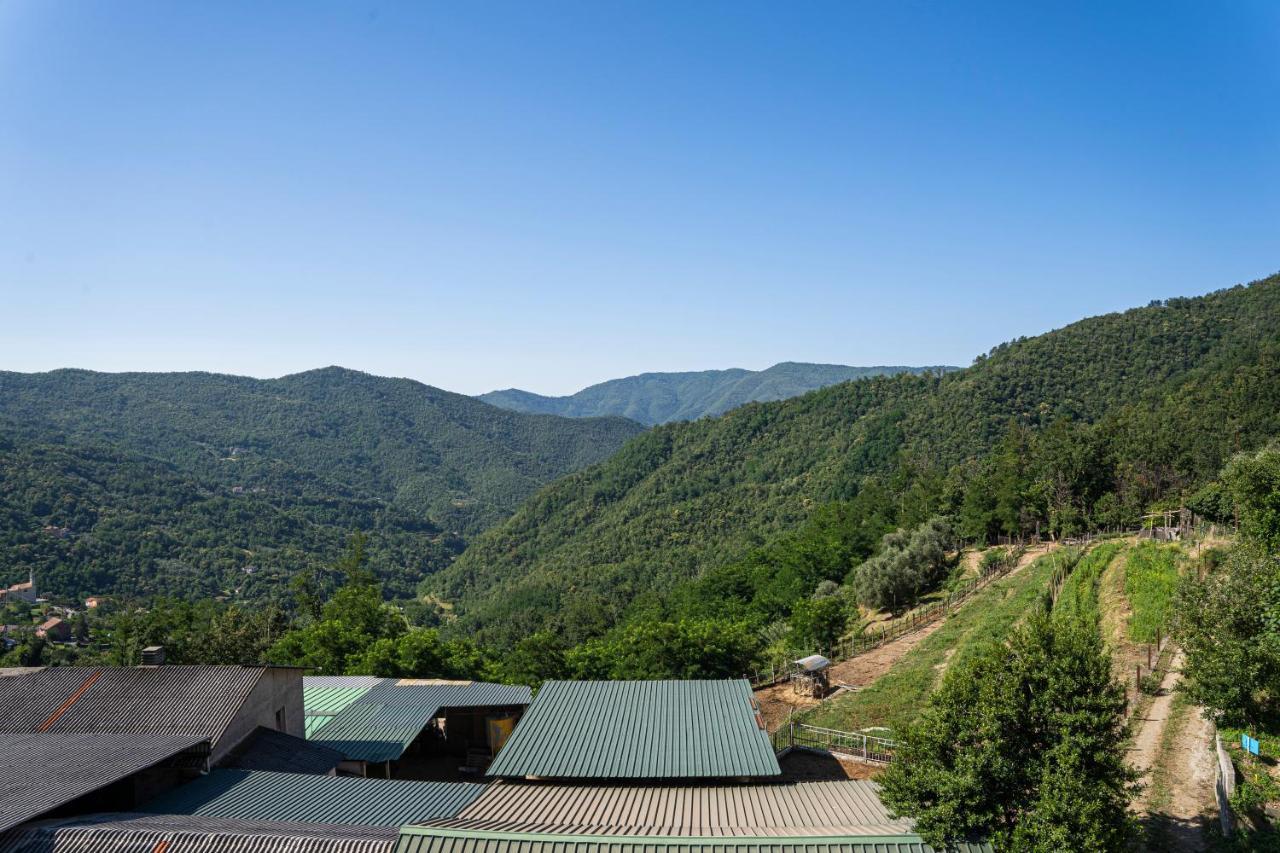 01234 - Agriturismo La Marpea, Esperienza In Mezzo Alla Natura E Al Cibo Tipico Italiano Βίλα Terisso Εξωτερικό φωτογραφία